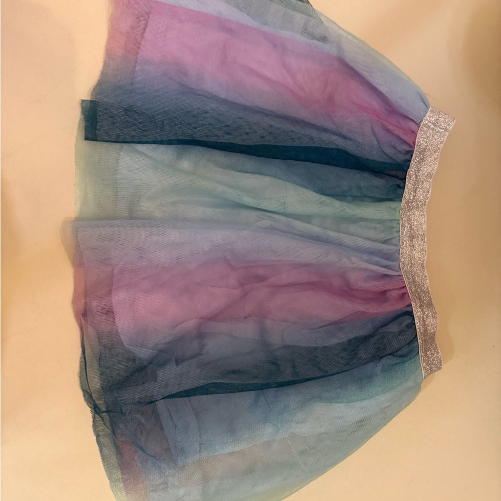 Multicolor Ombre Tulle Skirt